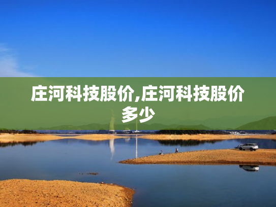 庄河科技股价,庄河科技股价多少