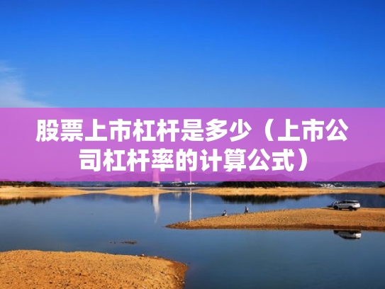 股票上市杠杆是多少（上市公司杠杆率的计算公式）