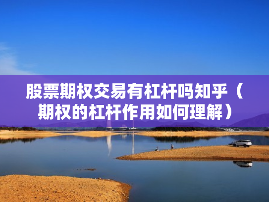 股票期权交易有杠杆吗知乎（期权的杠杆作用如何理解）