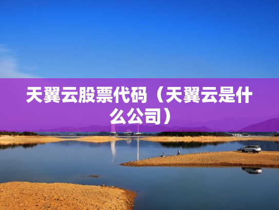 天翼云股票代码（天翼云是什么公司）