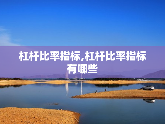 杠杆比率指标,杠杆比率指标有哪些