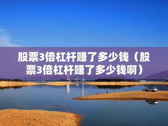 股票3倍杠杆赚了多少钱（股票3倍杠杆赚了多少钱啊）