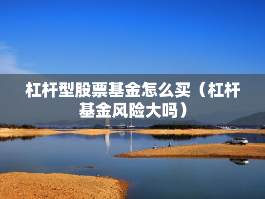 杠杆型股票基金怎么买（杠杆基金风险大吗）