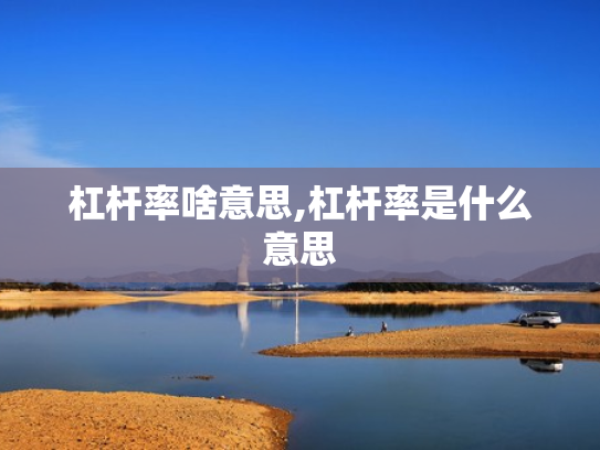 杠杆率啥意思,杠杆率是什么意思