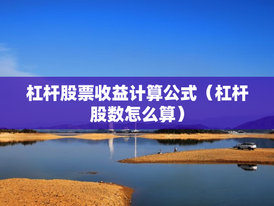 杠杆股票收益计算公式（杠杆股数怎么算）