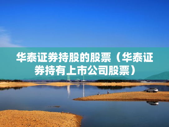 华泰证券持股的股票（华泰证券持有上市公司股票）