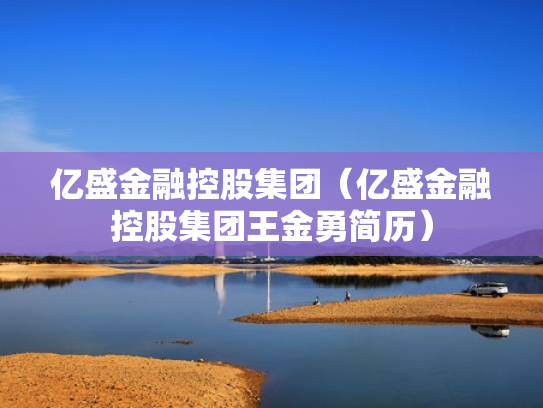 亿盛金融控股集团（亿盛金融控股集团王金勇简历）