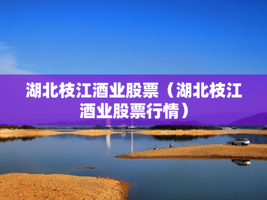 湖北枝江酒业股票（湖北枝江酒业股票行情）
