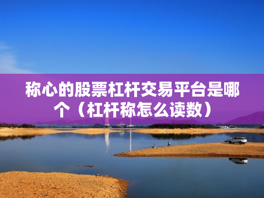 称心的股票杠杆交易平台是哪个（杠杆称怎么读数）