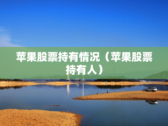 苹果股票持有情况（苹果股票持有人）