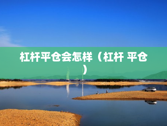杠杆平仓会怎样（杠杆 平仓）