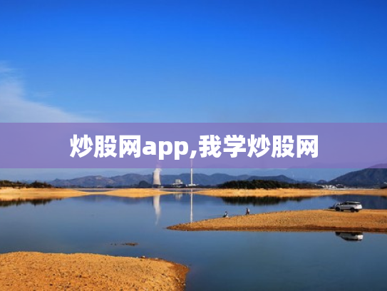 炒股网app,我学炒股网
