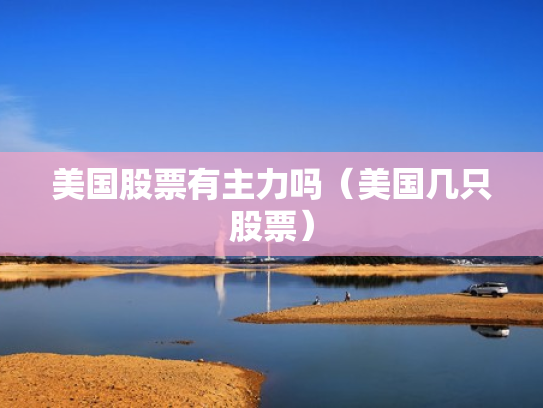 美国股票有主力吗（美国几只股票）