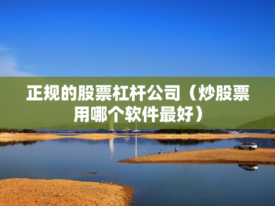 正规的股票杠杆公司（炒股票用哪个软件最好）