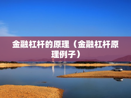 金融杠杆的原理（金融杠杆原理例子）