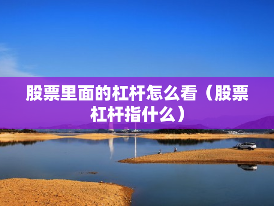 股票里面的杠杆怎么看（股票杠杆指什么）