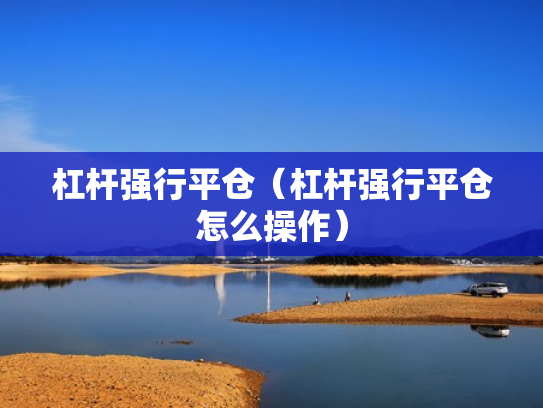 杠杆强行平仓（杠杆强行平仓怎么操作）