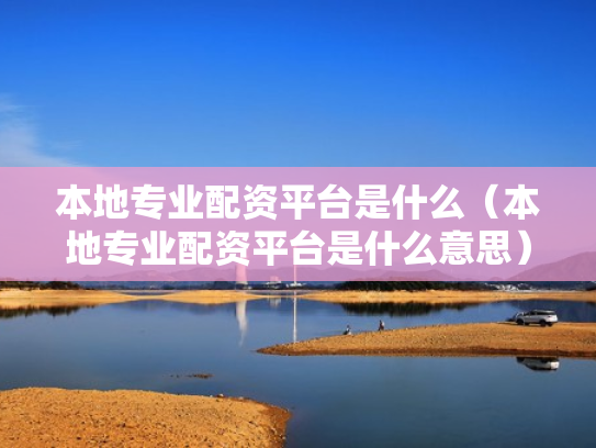 本地专业配资平台是什么（本地专业配资平台是什么意思）