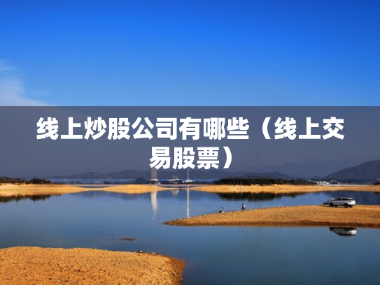 线上炒股公司有哪些（线上交易股票）