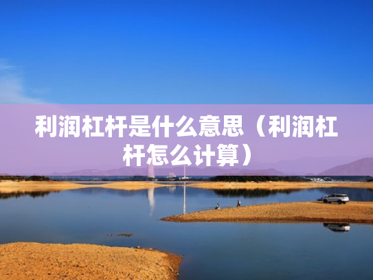利润杠杆是什么意思（利润杠杆怎么计算）
