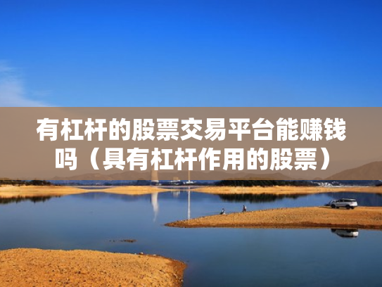 有杠杆的股票交易平台能赚钱吗（具有杠杆作用的股票）