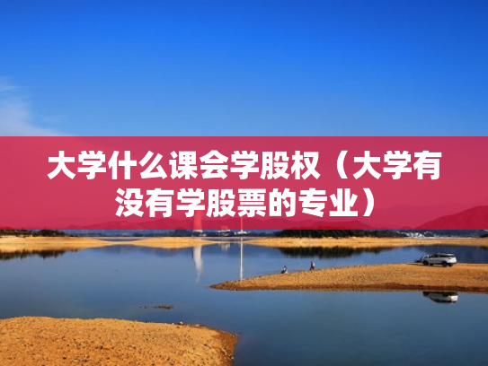 大学什么课会学股权（大学有没有学股票的专业）