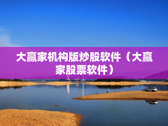 大赢家机构版炒股软件（大赢家股票软件）