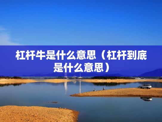 杠杆牛是什么意思（杠杆到底是什么意思）