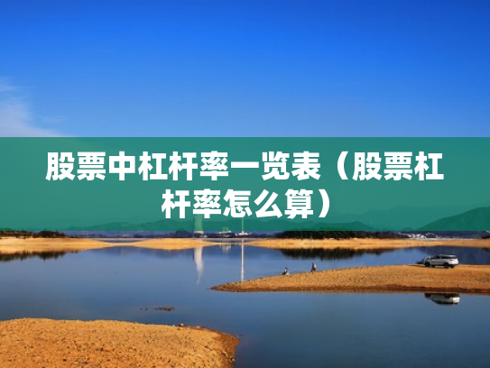 股票中杠杆率一览表（股票杠杆率怎么算）