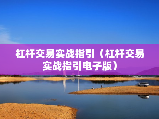 杠杆交易实战指引（杠杆交易实战指引电子版）