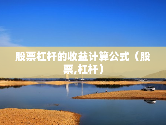 股票杠杆的收益计算公式（股票,杠杆）