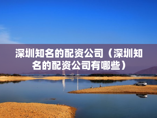 深圳知名的配资公司（深圳知名的配资公司有哪些）