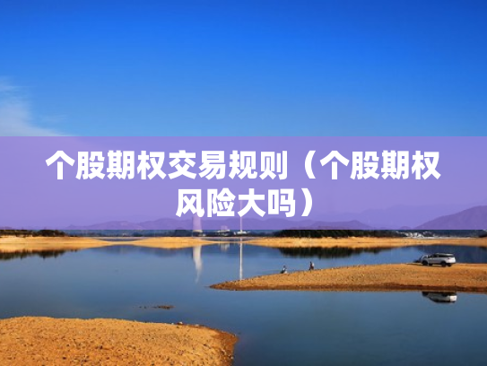 个股期权交易规则（个股期权风险大吗）