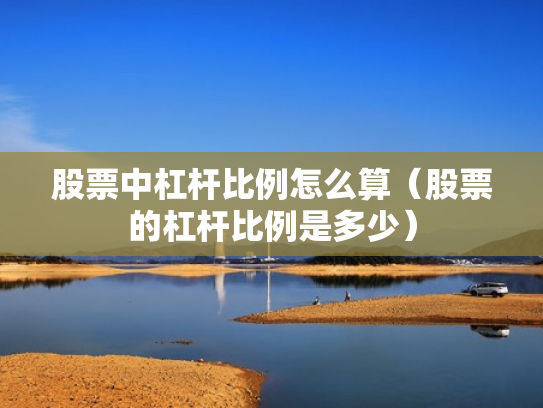 股票中杠杆比例怎么算（股票的杠杆比例是多少）