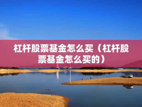 杠杆股票基金怎么买（杠杆股票基金怎么买的）