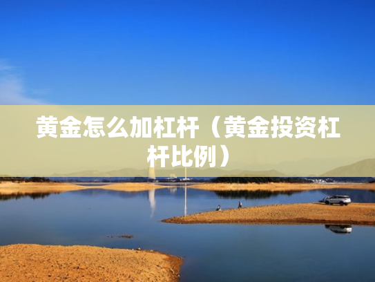 黄金怎么加杠杆（黄金投资杠杆比例）