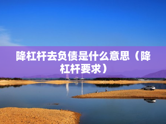降杠杆去负债是什么意思（降杠杆要求）