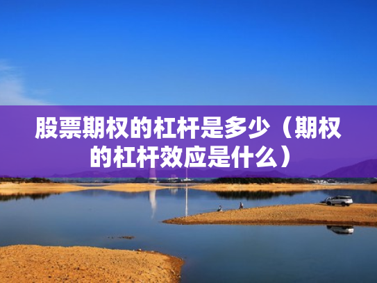 股票期权的杠杆是多少（期权的杠杆效应是什么）