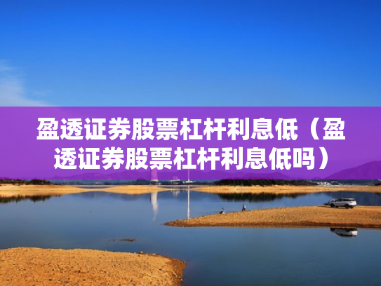 盈透证券股票杠杆利息低（盈透证券股票杠杆利息低吗）