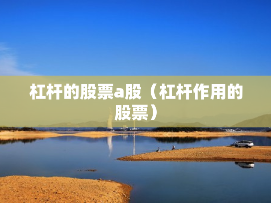 杠杆的股票a股（杠杆作用的股票）