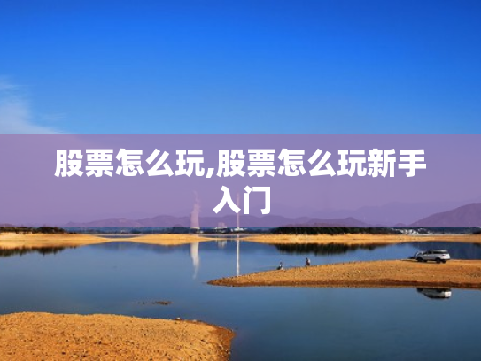 股票怎么玩,股票怎么玩新手入门