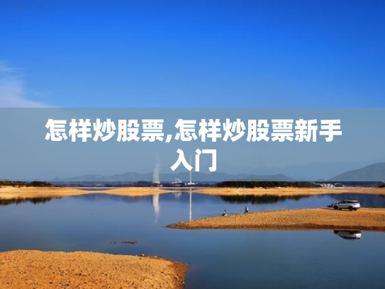 怎样炒股票,怎样炒股票新手入门