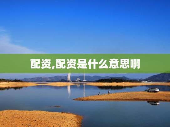 配资,配资是什么意思啊