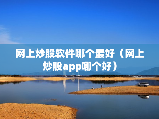 网上炒股软件哪个最好（网上炒股app哪个好）