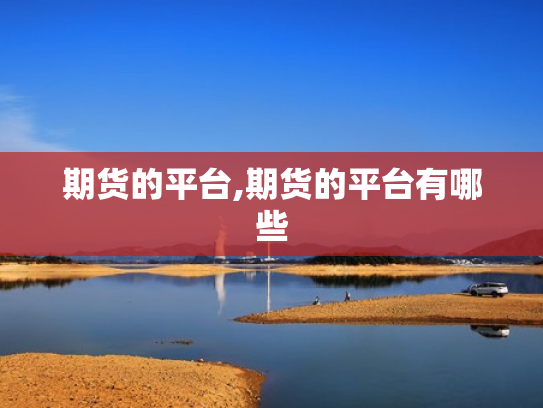 期货的平台,期货的平台有哪些