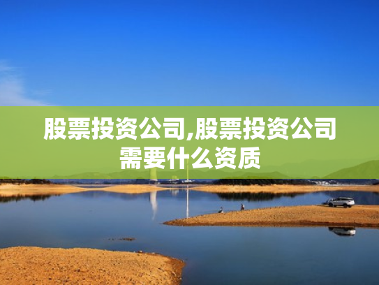 股票投资公司,股票投资公司需要什么资质