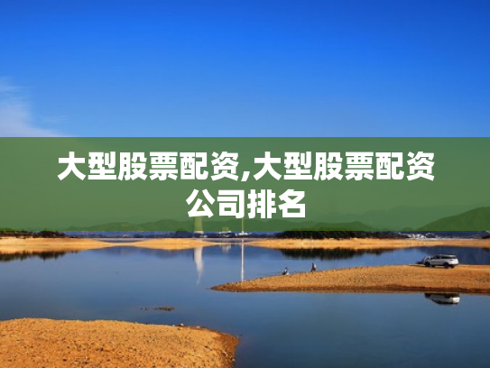 大型股票配资,大型股票配资公司排名