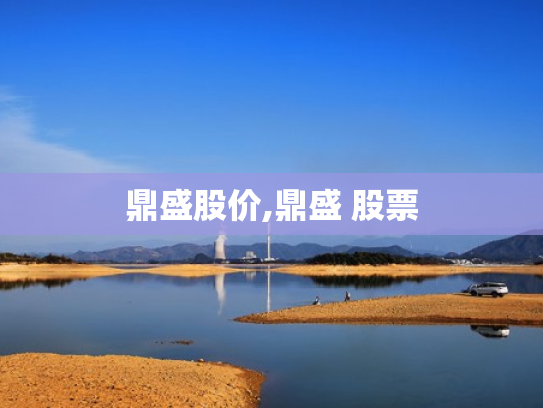 鼎盛股价,鼎盛 股票