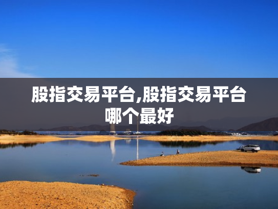 股指交易平台,股指交易平台哪个最好