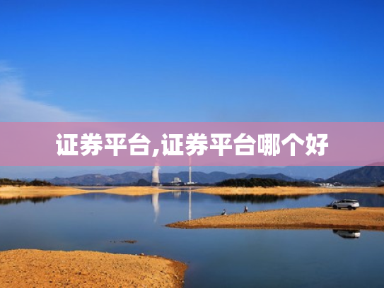 证券平台,证券平台哪个好